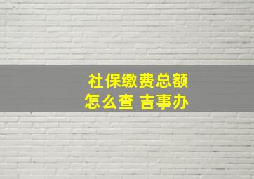 社保缴费总额怎么查 吉事办